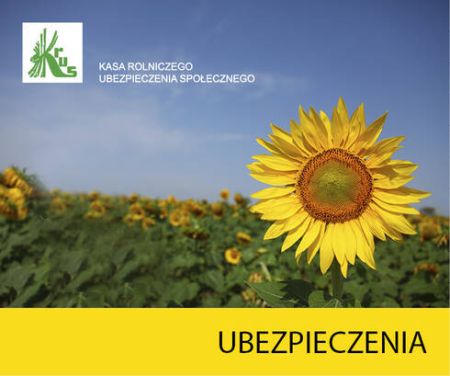 Baner ubezpieczenia dodatkowe